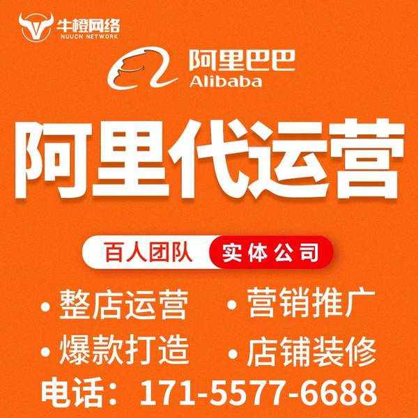宣威电商代运营