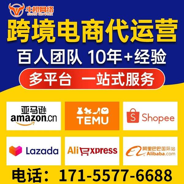 宣威电商代运营