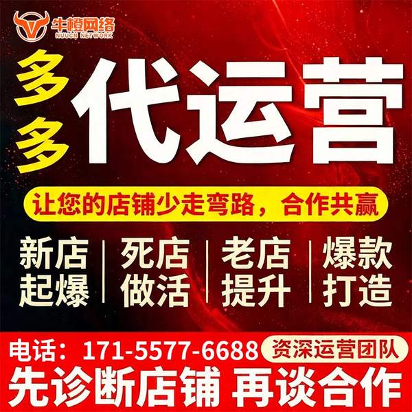 宣威电商代运营