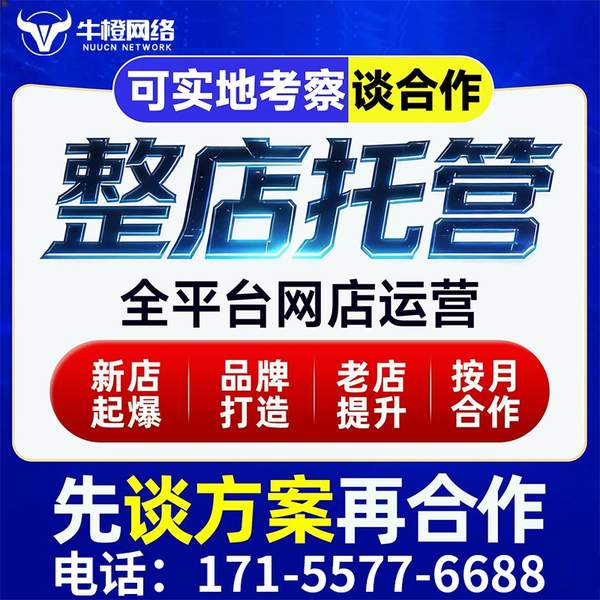 宣威电商代运营