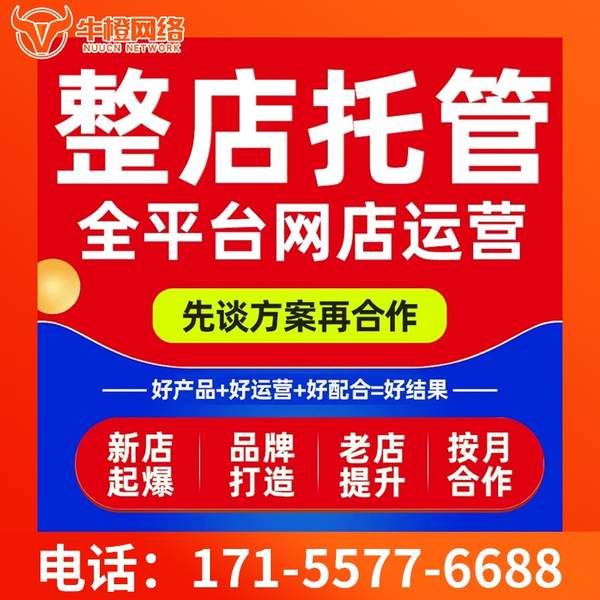 宣威电商代运营
