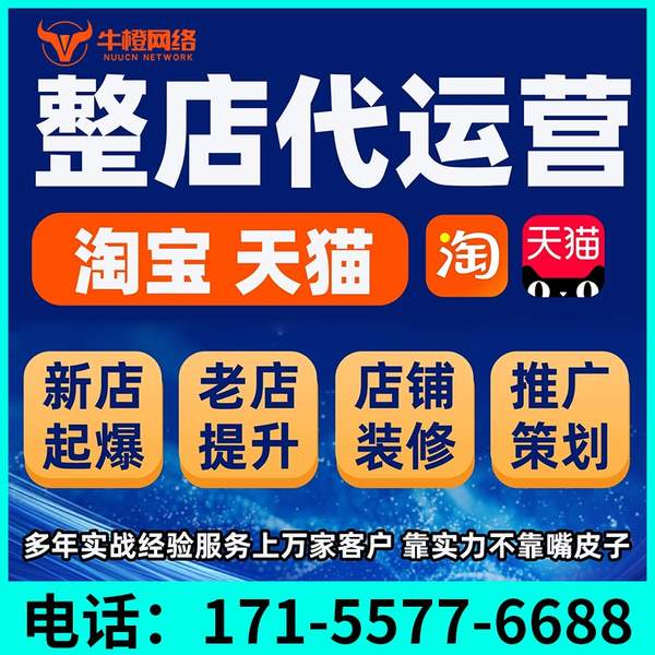 宣威电商代运营