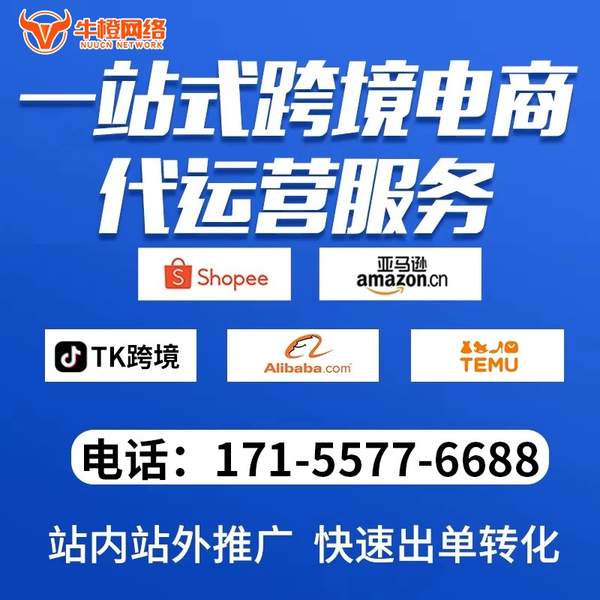 宣威电商代运营
