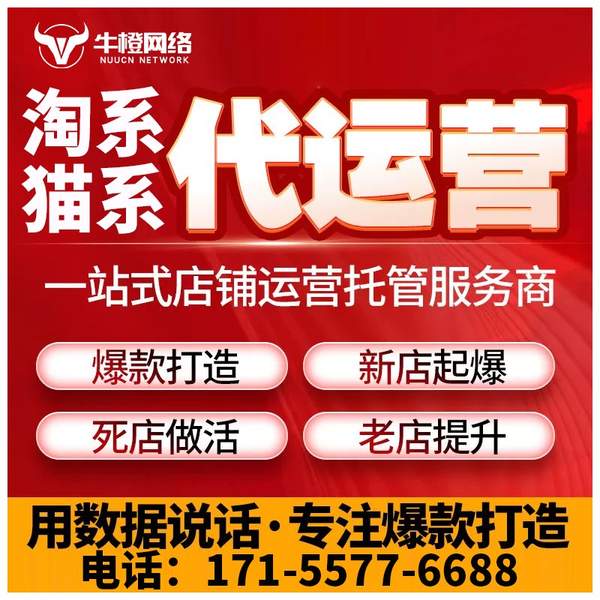 宣威电商代运营